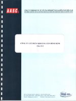 Báo cáo tài chính năm 2014 (đã kiểm toán) - Công ty cổ phần Khoáng sản Bình Định