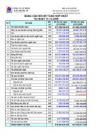 Báo cáo tài chính hợp nhất năm 2009 (đã kiểm toán) - Công ty Cổ phần Xây dựng 47