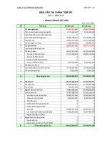 Báo cáo tài chính quý 1 năm 2010 - Công ty cổ phần Vicem Bao bì Bỉm Sơn