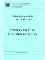 Báo cáo tài chính công ty mẹ quý 1 năm 2016 - Công ty cổ phần Phân bón Bình Điền