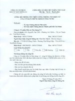 Báo cáo tài chính năm 2012 (đã kiểm toán) - Công ty Cổ phần Đầu tư Xây dựng 3-2