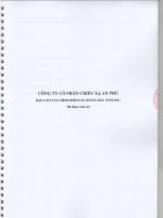 Báo cáo tài chính công ty mẹ quý 2 năm 2011 (đã soát xét) - Công ty Cổ phần Chiếu xạ An Phú