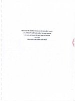 Báo cáo tài chính công ty mẹ năm 2015 (đã kiểm toán) - Công ty cổ phần Đầu tư AMD Group