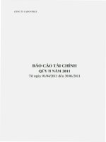 Báo cáo tài chính quý 2 năm 2011 - Công ty Cổ phần Chế biến và Xuất nhập khẩu Thủy sản CADOVIMEX