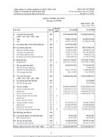 Báo cáo tài chính quý 4 năm 2009 - Công ty cổ phần Xi măng Vicem Bút Sơn