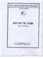 Báo cáo tài chính quý 1 năm 2011 - Công ty cổ phần Đầu tư và Phát triển Đô thị Dầu khí Cửu Long