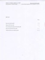 Báo cáo tài chính hợp nhất quý 4 năm 2012 - Công ty Cổ phần Chiếu xạ An Phú