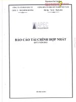 Báo cáo tài chính hợp nhất quý 1 năm 2013 - Công ty Cổ phần Đầu tư Châu Á - Thái Bình Dương