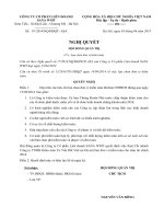 Nghị quyết Hội đồng Quản trị - Công ty cổ phần Liên doanh SANA WMT