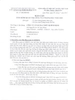 Báo cáo tình hình quản trị công ty - Công ty Cổ phần Sách và Thiết bị Bình Định