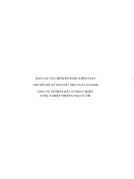 Báo cáo tài chính năm 2008 (đã kiểm toán) - Công ty Cổ phần Đầu tư Phát triển Công nghiệp - Thương mại Củ Chi