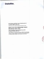 Báo cáo tài chính hợp nhất quý 2 năm 2014 (đã soát xét) - Ngân hàng Thương mại cổ phần Đầu tư và Phát triển Việt Nam