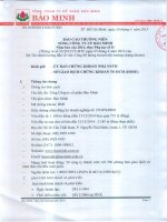 Báo cáo thường niên năm 2014 - Tổng Công ty Cổ phần Bảo Minh