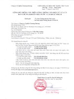 Báo cáo tài chính hợp nhất quý 1 năm 2016 - Công ty Cổ phần Chương Dương