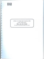 Báo cáo tài chính năm 2011 (đã kiểm toán) - CTCP Cảng Chân Mây