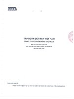 Báo cáo tài chính năm 2013 (đã kiểm toán) - Công ty cổ phần Bông Việt Nam