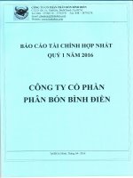 Báo cáo tài chính hợp nhất quý 1 năm 2016 - Công ty cổ phần Phân bón Bình Điền