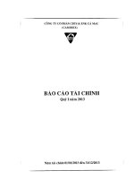 Báo cáo tài chính quý 1 năm 2013 - Công ty Cổ phần Chế biến và Xuất nhập khẩu Thuỷ sản Cà Mau