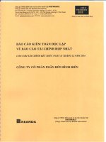 Báo cáo tài chính hợp nhất năm 2014 (đã kiểm toán) - Công ty cổ phần Phân bón Bình Điền