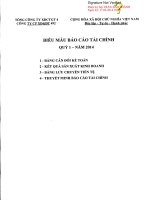 Báo cáo tài chính quý 1 năm 2014 - Công ty Cổ phần Xây dựng và Đầu tư 492