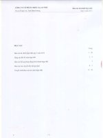 Báo cáo tài chính hợp nhất quý 4 năm 2013 - Công ty Cổ phần Chiếu xạ An Phú