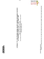 Báo cáo tài chính hợp nhất năm 2012 (đã kiểm toán) - CTCP Sản xuất Kinh doanh Dược và Trang thiết bị Y tế Việt Mỹ