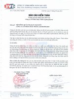 Báo cáo tài chính năm 2010 (đã kiểm toán) - CTCP Dược phẩm Agimexpharm