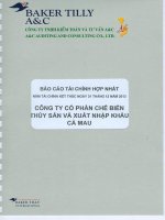 Báo cáo tài chính hợp nhất năm 2013 (đã kiểm toán) - Công ty Cổ phần Chế biến và Xuất nhập khẩu Thuỷ sản Cà Mau