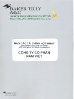 Báo cáo tài chính hợp nhất quý 2 năm 2012 (đã soát xét) - Công ty Cổ phần Nam Việt