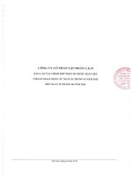 Báo cáo tài chính hợp nhất quý 2 năm 2015 (đã soát xét) - Công ty Cổ phần Tập đoàn C.E.O