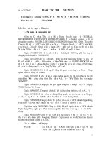 Báo cáo thường niên năm 2008 - Công ty Cổ phần Thủy điện miền Trung