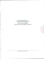 Báo cáo tài chính quý 2 năm 2012 - Công ty Cổ phần Khai thác và Chế biến Khoáng sản Bắc Giang