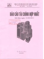 Báo cáo tài chính hợp nhất quý 1 năm 2011 - Công ty Cổ phần Đầu tư Xây dựng Bình Chánh