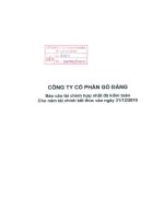 Báo cáo tài chính hợp nhất năm 2010 (đã kiểm toán) - Công ty Cổ phần Gò Đàng