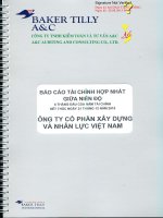 Báo cáo tài chính hợp nhất quý 2 năm 2015 (đã soát xét) - Công ty cổ phần Xây dựng và Nhân lực Việt Nam