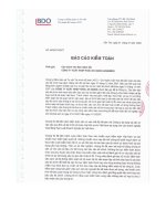 Báo cáo tài chính năm 2007 (đã kiểm toán) - Công ty cổ phần Xuất nhập khẩu An Giang