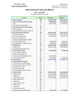 Báo cáo tài chính quý 2 năm 2009 - Công ty cổ phần Vicem Bao bì Bỉm Sơn