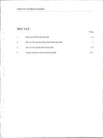 Báo cáo tài chính hợp nhất quý 4 năm 2011 - Công ty Cổ phần Gò Đàng