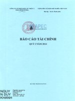 Báo cáo tài chính công ty mẹ quý 1 năm 2014 - Công ty Cổ phần Đầu tư Châu Á - Thái Bình Dương