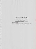 Báo cáo tài chính công ty mẹ năm 2012 (đã kiểm toán) - Công ty Cổ phần Công nghệ Mạng và Truyền thông