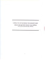 Báo cáo tài chính quý 2 năm 2011 - Công ty cổ phần Xi măng Vicem Bút Sơn