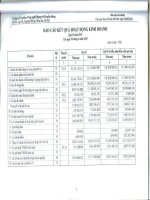 Báo cáo KQKD quý 2 năm 2010 - Công ty Cổ phần Công nghệ Mạng và Truyền thông