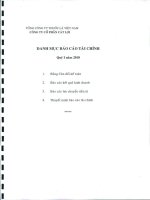 Báo cáo tài chính quý 1 năm 2010 - Công ty Cổ phần Cát Lợi