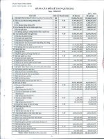 Báo cáo tài chính quý 2 năm 2012 - Công ty Cổ phần Cao su Bến Thành