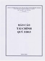 Báo cáo tài chính công ty mẹ quý 3 năm 2013 - Công ty cổ phần Đầu tư Hạ tầng Kỹ thuật T.P Hồ Chí Minh