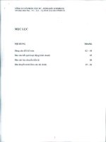 Báo cáo tài chính quý 1 năm 2013 - Công ty Cổ phần Vật tư - Xăng dầu