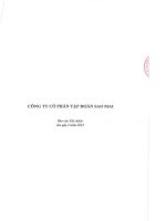 Báo cáo tài chính công ty mẹ quý 2 năm 2015 - Công ty Cổ phần Tập đoàn Sao Mai