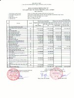 Báo cáo tài chính quý 1 năm 2013 - Quỹ đầu tư tăng trưởng ACB