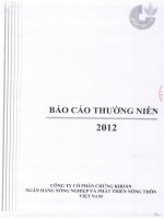 Báo cáo thường niên năm 2012 - Công ty Cổ phần Chứng khoán Nông nghiệp và Phát triển Nông thôn