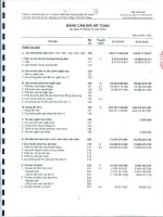 Báo cáo tài chính quý 4 năm 2010 - Công ty cổ phần Đầu tư và Phát triển Đô thị Dầu khí Cửu Long